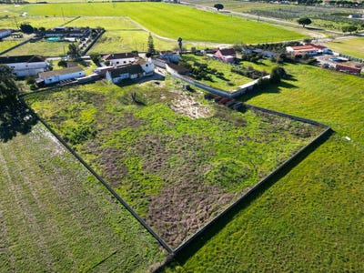 /international/pt/estrada-do-rego-da-amoreira-alcochete-portugal-alcochete-setubal-municipality-310108418471/