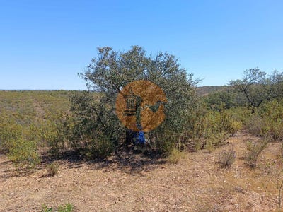 /international/pt/faro-faro-310096966696/