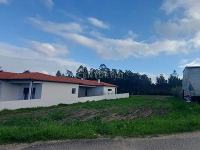 /international/pt/rua-da-fatipal-pelariga-leiria-310106686519/
