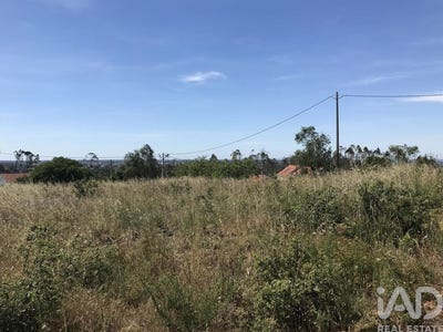 /international/pt/leiria-leiria-310108776912/