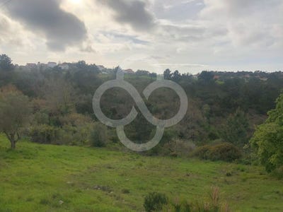 /international/pt/sesimbra-santiago-setubal-municipality-310107773588/