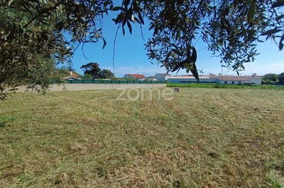 /international/pt/sesimbra-setubal-municipality-310101413554/