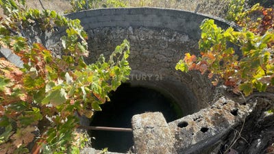 /international/pt/portalao-escalos-de-cima-castelo-branco-310105188916/?lang=de