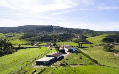 /international/pt/beja-beja-310095168069/