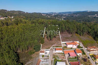 /international/pt/paredes-porto-310102845426/