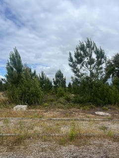 /international/pt/rua-das-rosas-quinta-do-conde-portugal-quinta-do-conde-setubal-municipality-310108669174/