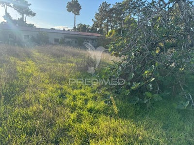 /international/pt/sesimbra-castelo-sesimbra-setubal-municipality-310096188164/