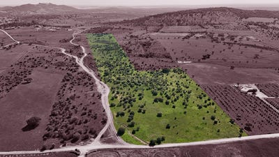 /international/pt/evora-reguengos-de-monsaraz-monsaraz-reguengos-de-monsaraz-monsaraz-evora-310107701908/