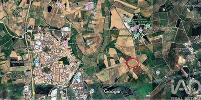 /international/pt/carvalhal-leiria-310103313383/