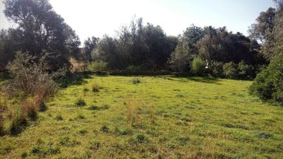 /international/pt/laranjeiro-moncarapacho-faro-120092605085/