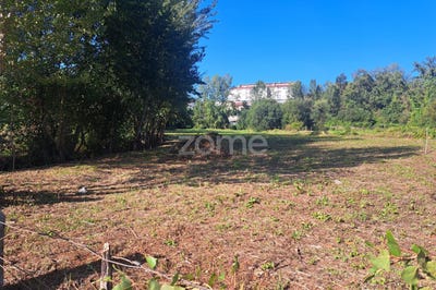 /international/pt/vila-verde-braganca-310108182748/