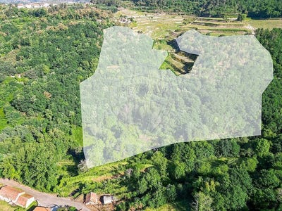 /international/pt/porto-braga-310109072821/