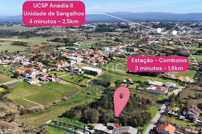 /international/pt/anadia-aveiro-310106591201/
