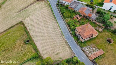 /international/pt/oliveira-do-bairro-aveiro-310108306085/