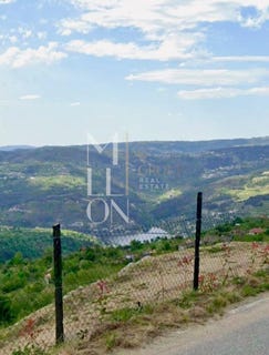 /international/pt/anreade-viseu-310106512500/