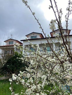 /international/pt/coimbra-lisbon-310095168574/
