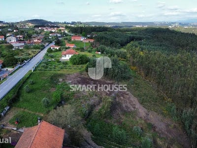 /international/pt/sao-martinho-da-cortica-coimbra-310099057443/