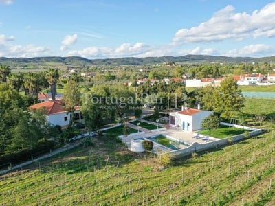 /international/pt/vidigueira-beja-310108650535/?lang=zh-cn