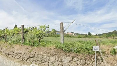 /international/pt/rua-de-sao-joao-de-rande-penafiel-porto-310107973630/