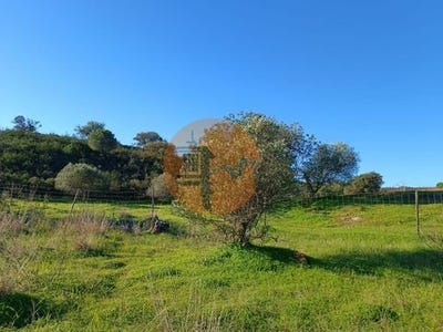 /international/pt/pedra-arrancada-castro-marim-faro-120091064755/