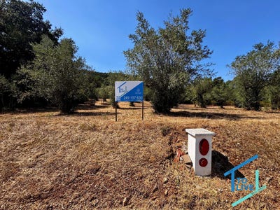 /international/pt/ferreira-do-zezere-santarem-310104226255/