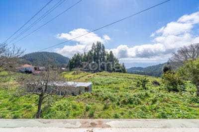 /international/pt/santa-cruz-madeira-310105829436/