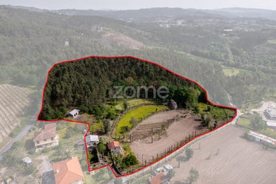 /international/pt/povoa-de-lanhoso-braga-120088560767/?lang=zh-tw