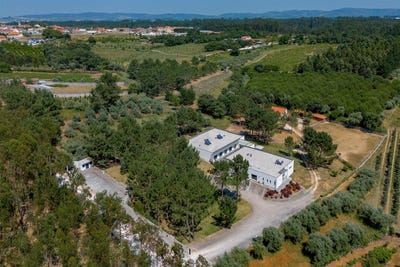 /international/pt/calvaria-de-cima-leiria-310101061485/