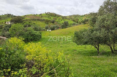 /international/pt/ourique-beja-310099225705/