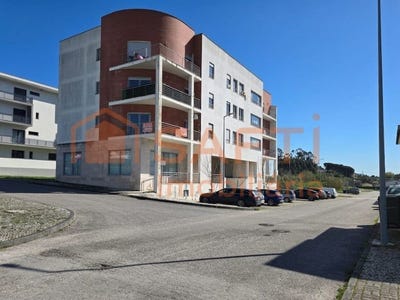 /international/pt/montemor-o-velho-e-gatoes-coimbra-310108596810/