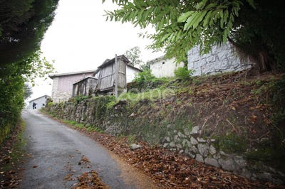 /international/pt/vieira-do-minho-braga-310104336814/