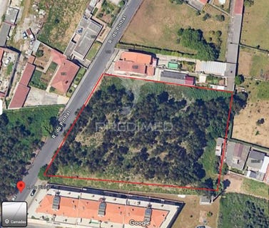 /international/pt/canelas-vila-nova-de-gaia-porto-310102248475/