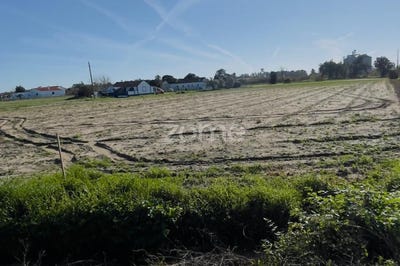 /international/pt/salvaterra-de-magos-santarem-310106164089/