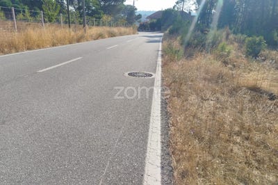 /international/pt/mangualde-viseu-310101946709/