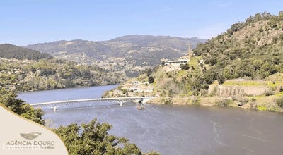 /international/pt/alhoes-viseu-310106966765/