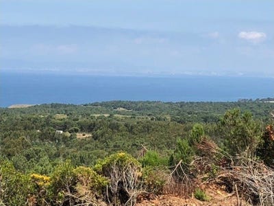 /international/pt/sesimbra-castelo-setubal-municipality-310107069802/
