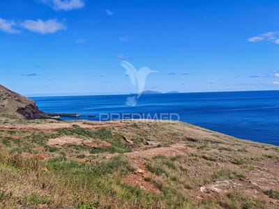 /international/pt/canical-machico-madeira-310103551661/