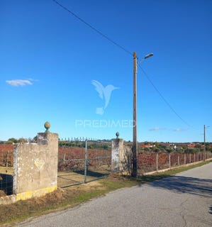 /international/pt/redondo-redondo-aveiro-310106164371/