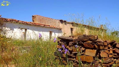 /international/pt/vila-real-de-santo-antonio-faro-310105819555/
