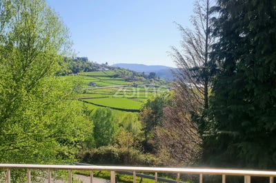 /international/pt/montalegre-vila-real-310099249910/