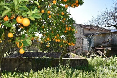 /international/pt/santarem-santarem-310103456737/