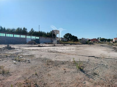 /international/pt/nossa-srª-de-fatima-entroncamento-santarem-120093583864/