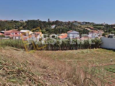 /international/pt/ericeira-lisbon-310108989826/