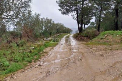 /international/pt/sao-joao-da-pesqueira-viseu-310104169375/