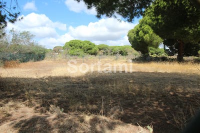 /international/pt/loule-faro-310107213941/