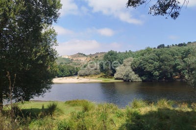 /international/pt/mangualde-viseu-310101015103/