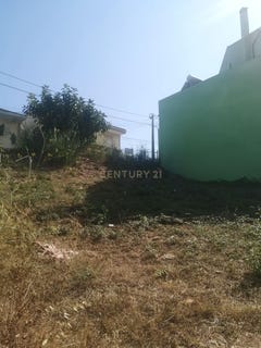 /international/pt/rua-1-de-maio-camarate-lisbon-310108048806/
