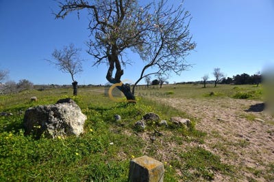 /international/pt/guia-leiria-310101357763/?lang=id