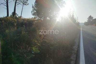 /international/pt/mangualde-viseu-310101468996/