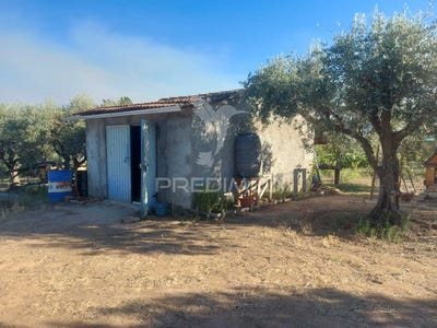 /international/pt/fundao-valverde-donas-aldeia-de-joanes-e-aldeia-nova-do-cabo-fundao-viana-do-castelo-310101281896/